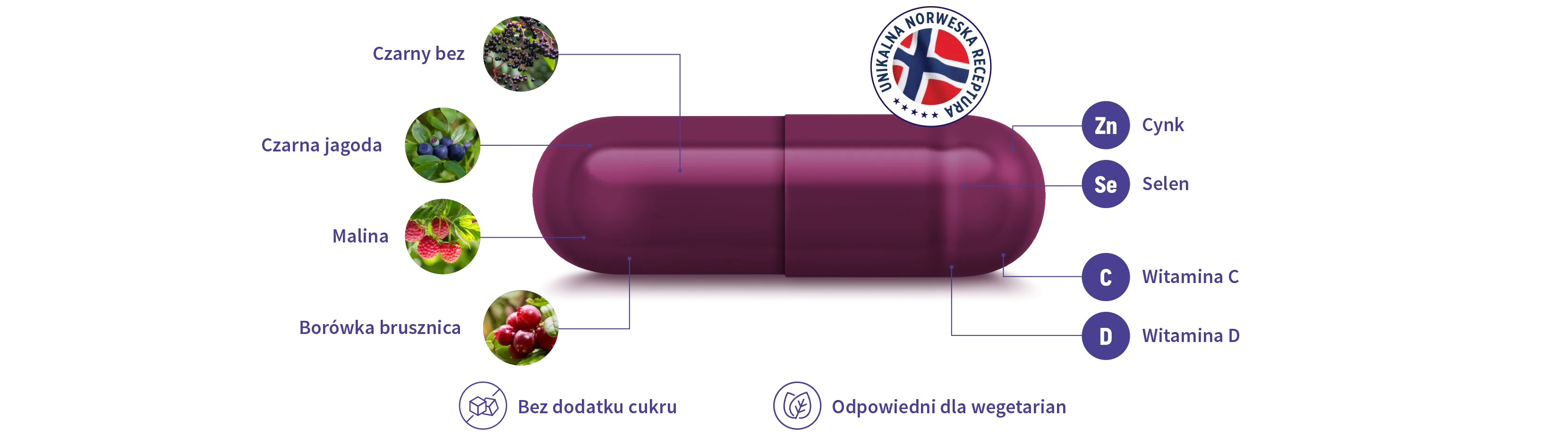 Natural Pharmaceuticals ImuBerin® Fioletowa kapsułka suplementu ImuBerin na białym tle; po lewej strzałki do składników roślinnych: czarny bez, czarna jagoda, malina i borówka brusznica; po prawej okrągłe etykiety z mikroelementami i witaminami: cynk (Zn), selen (Se), witamina C (C) i witamina D (D); u góry znak z flagą Norwegii „Unikalna norweska receptura”, na dole ikony „Nie zawiera cukru” i „Odpowiedni dla wegetarian”.